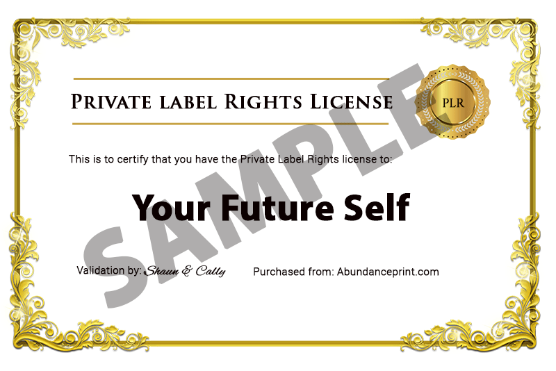 YFS-PLR